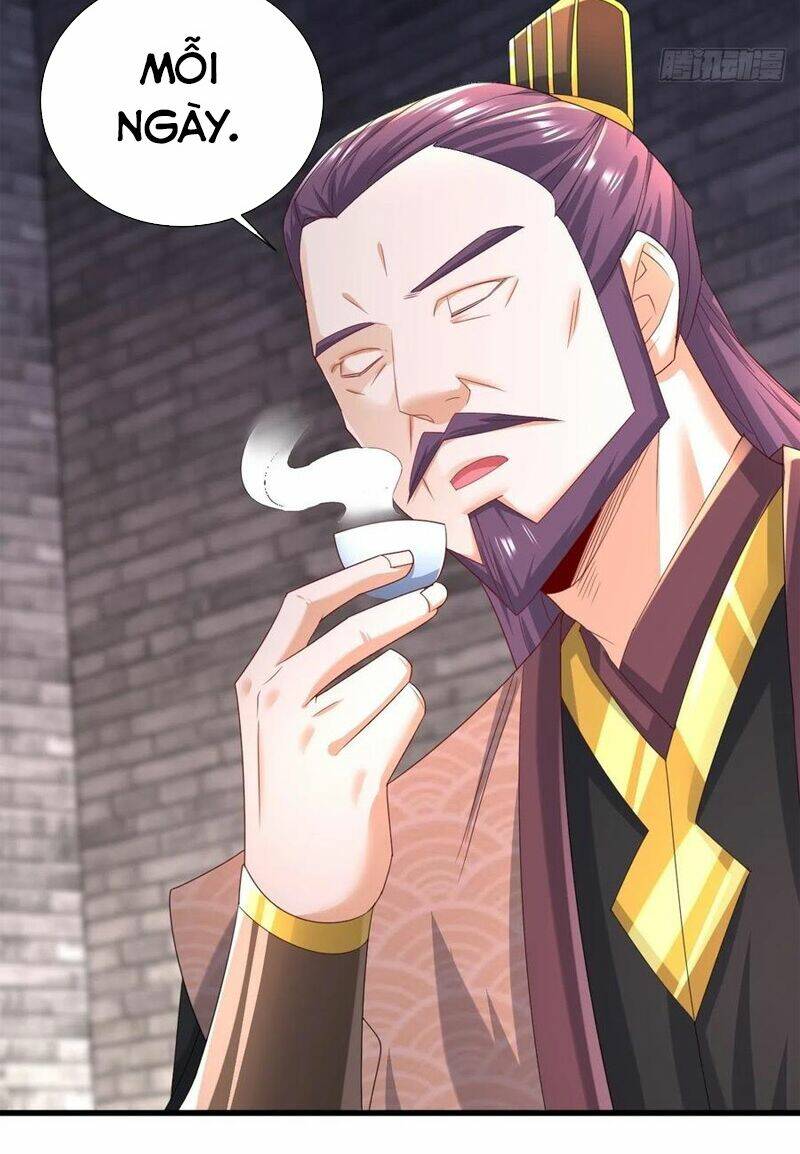 Người Ở Rể Bị Ép Thành Phản Diện: Chapter 202