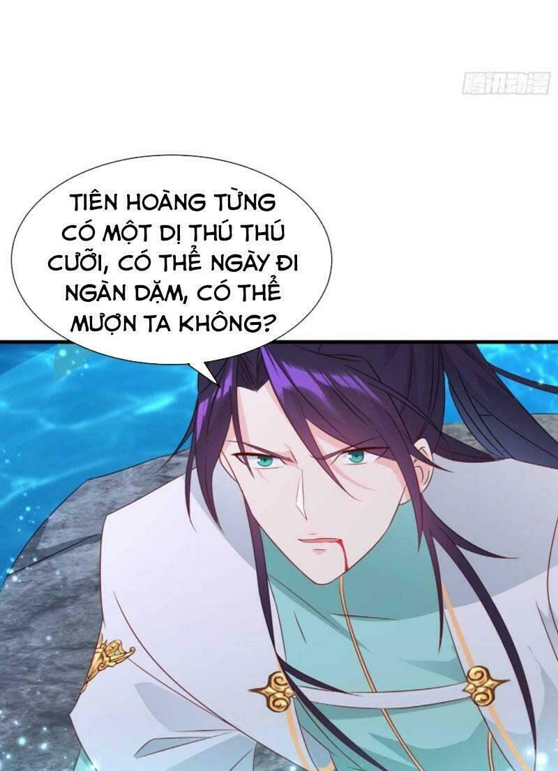 Người Ở Rể Bị Ép Thành Phản Diện: Chapter 207