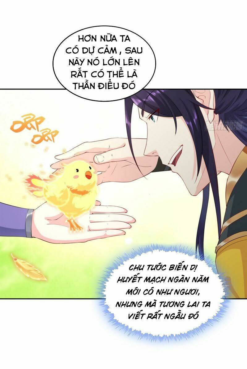 Người Ở Rể Bị Ép Thành Phản Diện: Chapter 39