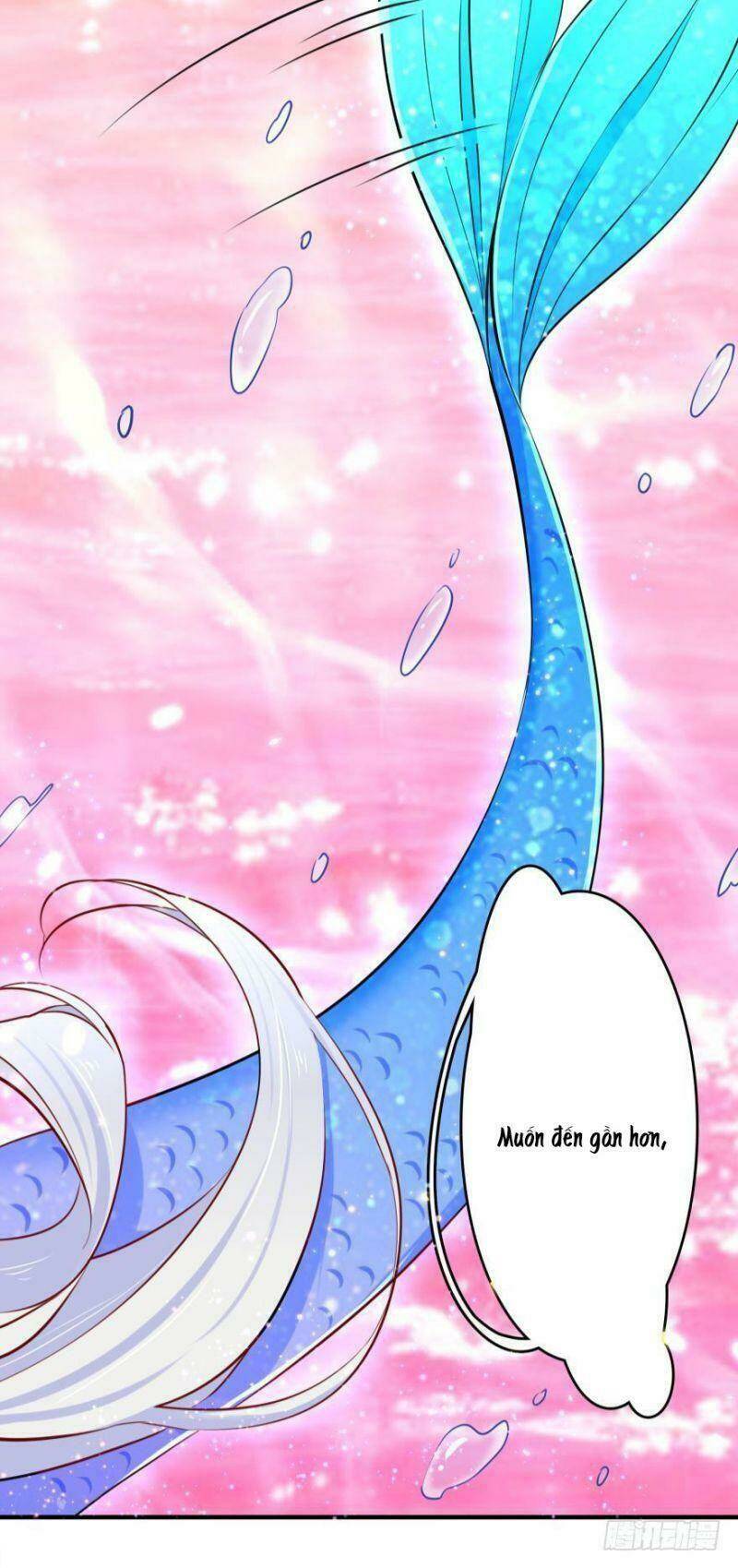 Nhân Ngư Học Trưởng, Đừng Ôm Ta!: Chapter 4