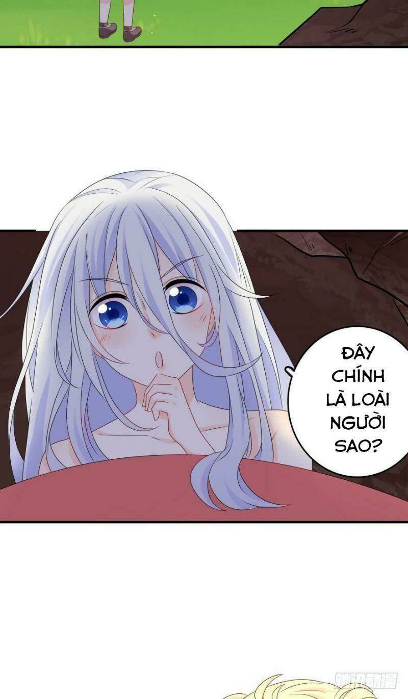 Nhân Ngư Học Trưởng, Đừng Ôm Ta!: Chapter 47