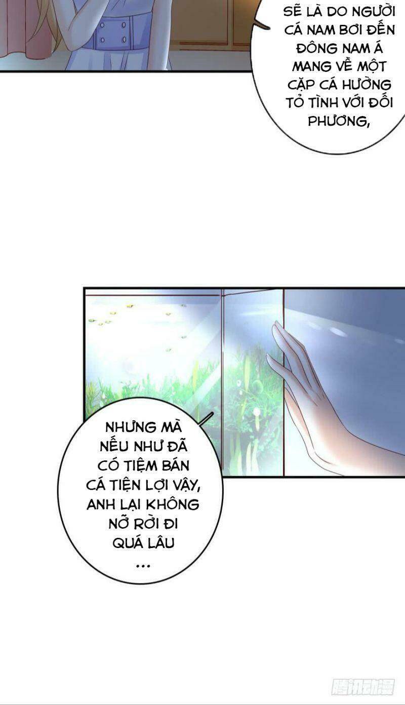 Nhân Ngư Học Trưởng, Đừng Ôm Ta!: Chapter 49