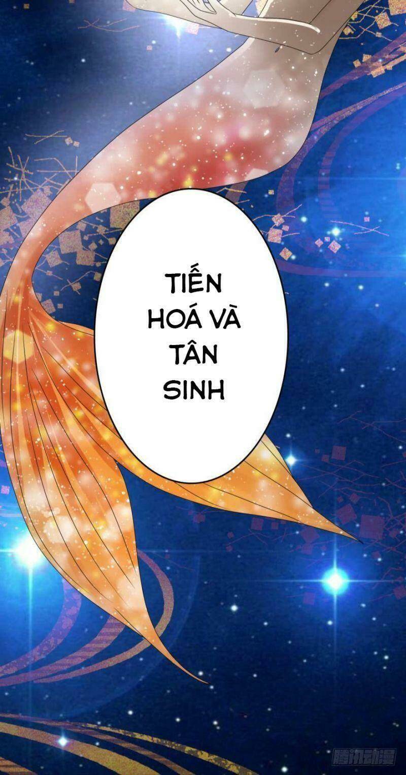 Nhân Ngư Học Trưởng, Đừng Ôm Ta!: Chapter 51