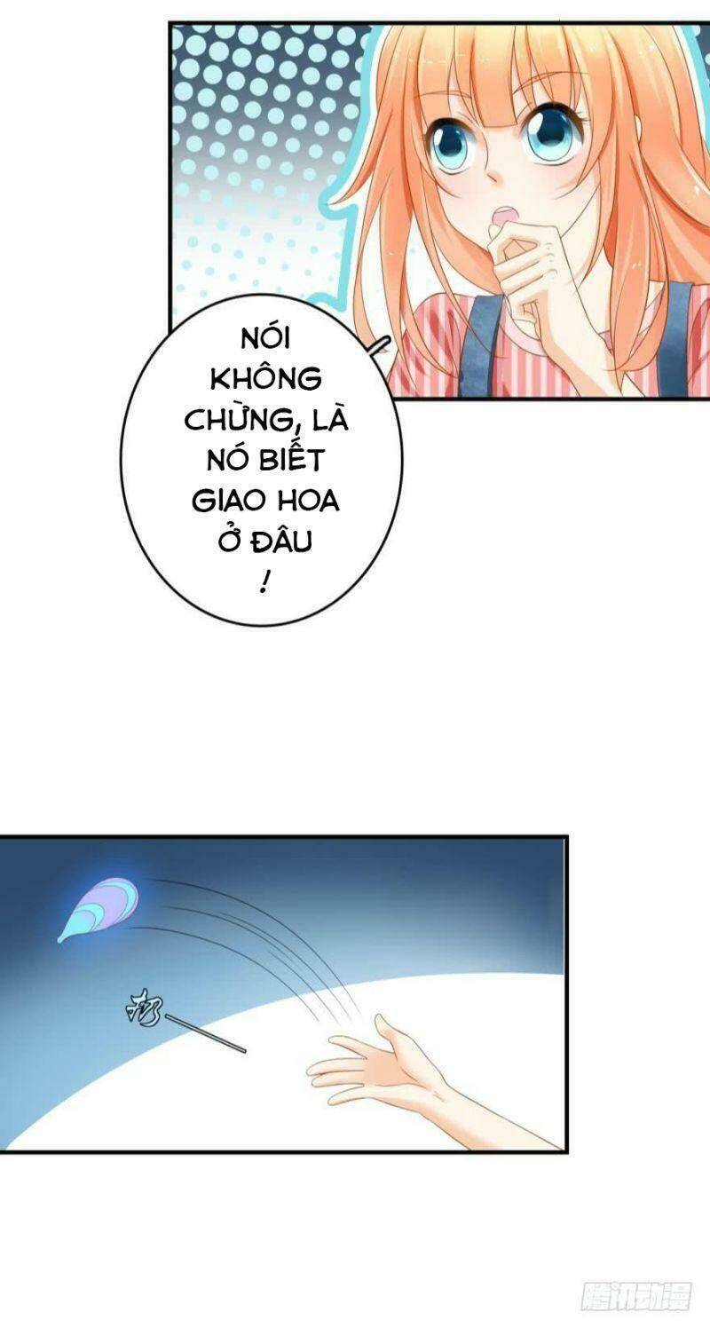 Nhân Ngư Học Trưởng, Đừng Ôm Ta!: Chapter 64
