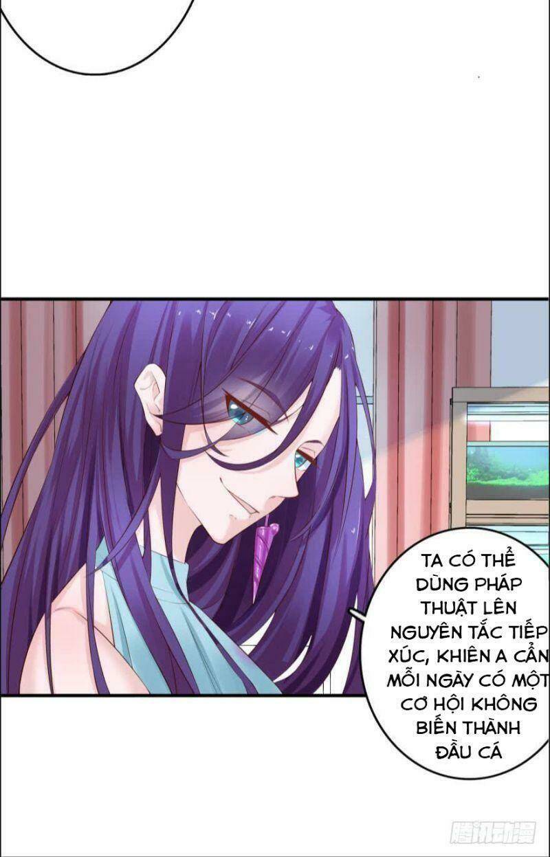 Nhân Ngư Học Trưởng, Đừng Ôm Ta!: Chapter 74