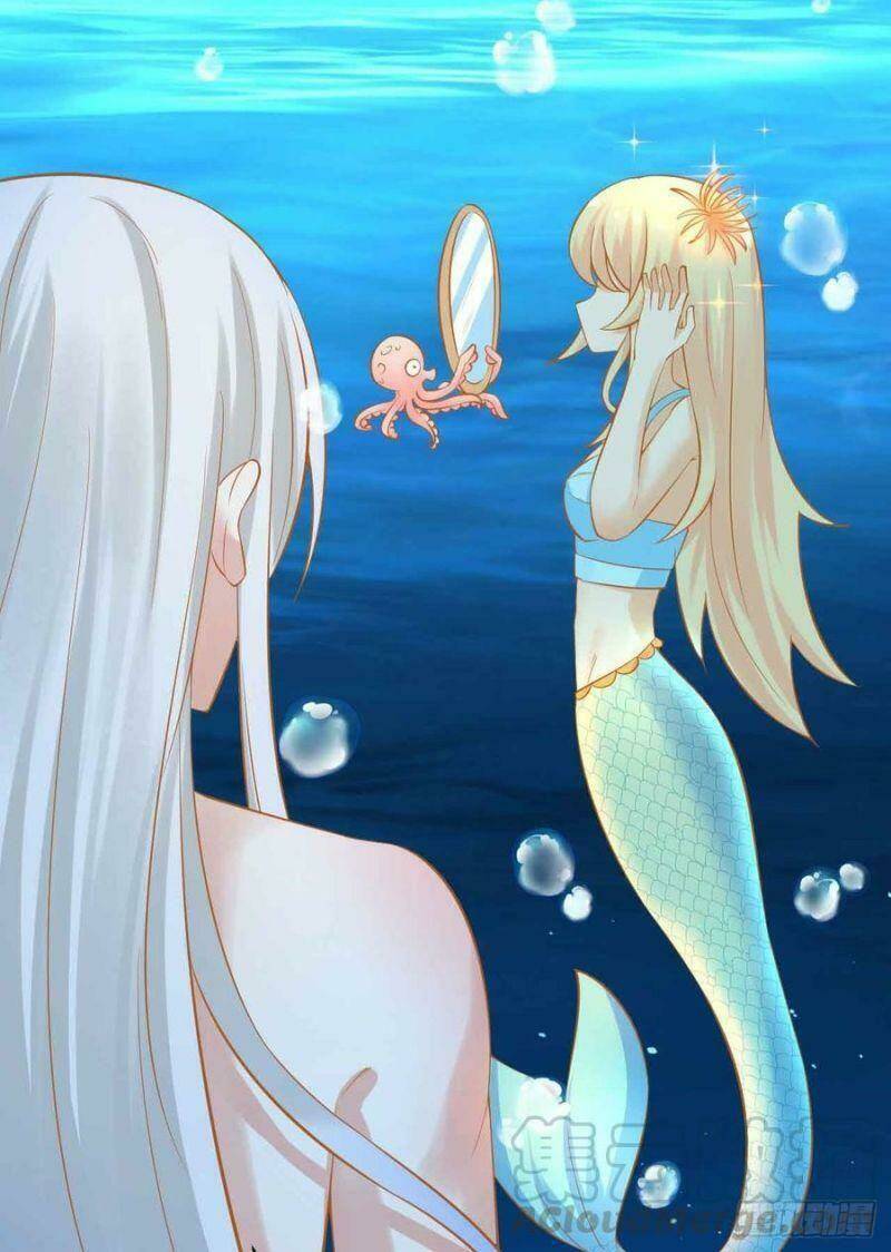 Nhân Ngư Học Trưởng, Đừng Ôm Ta!: Chapter 84