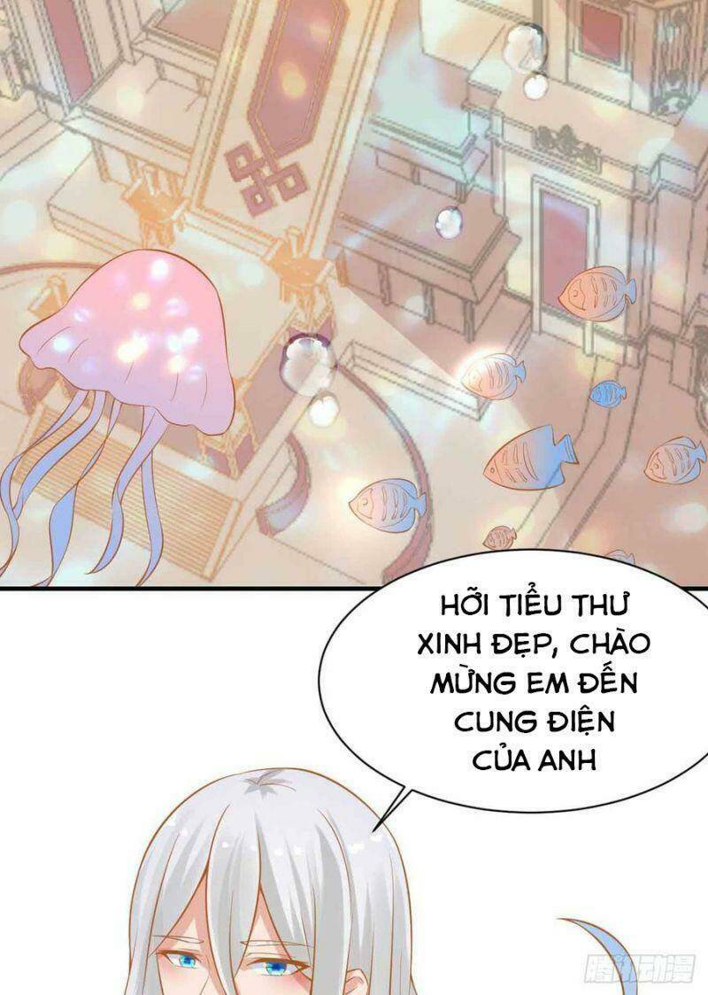 Nhân Ngư Học Trưởng, Đừng Ôm Ta!: Chapter 84