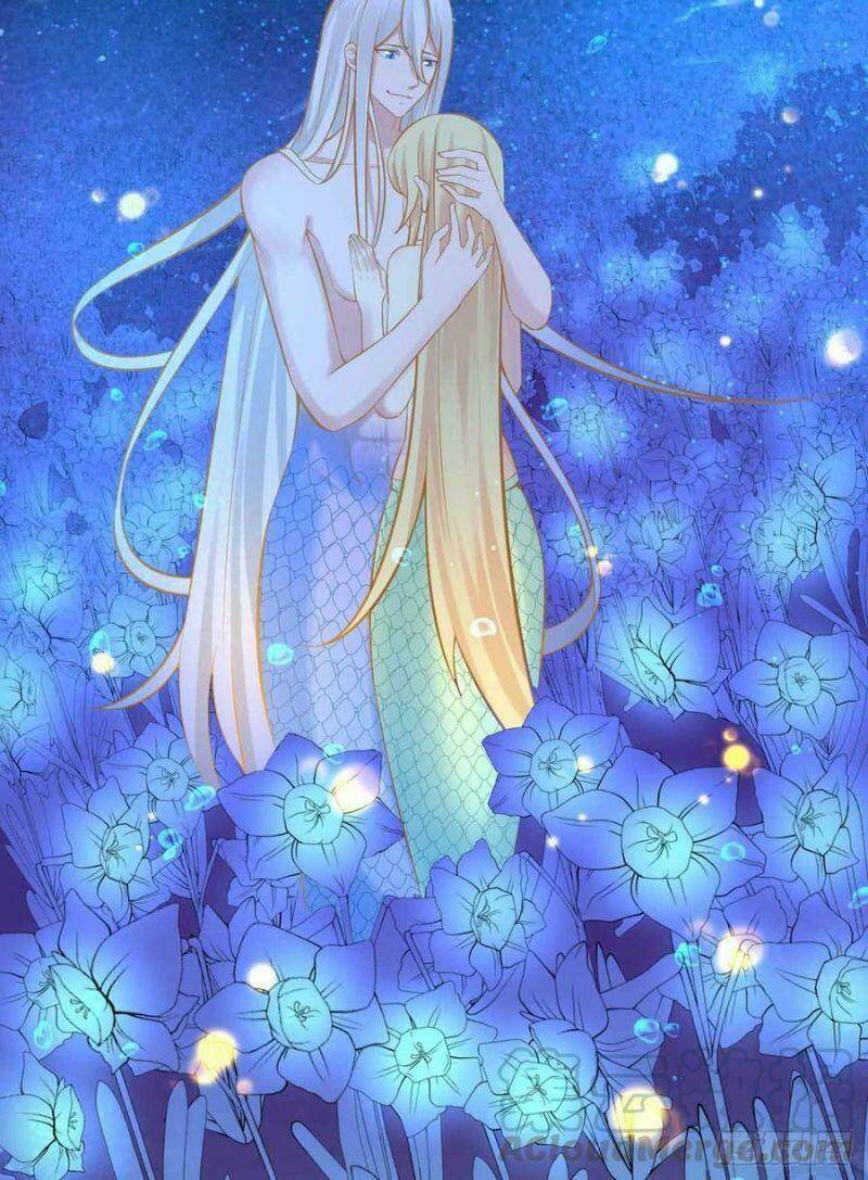 Nhân Ngư Học Trưởng, Đừng Ôm Ta!: Chapter 85