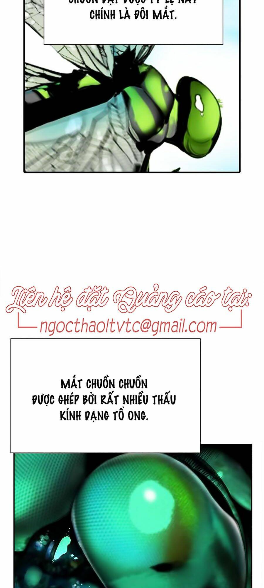 Nhân Trùng Đại Chiến: Chapter 4