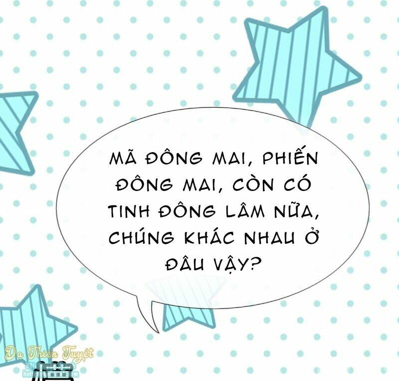 999 Nụ Hôn Bá Đạo Của Nam Thần: Chapter 15