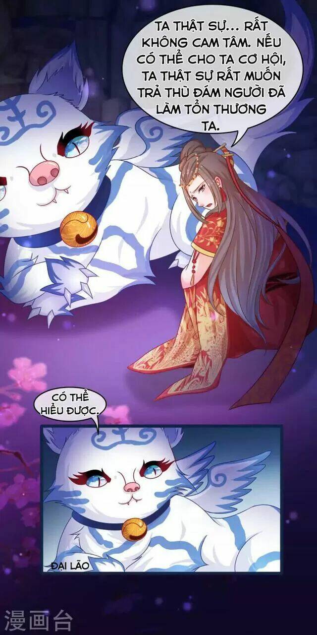 Nhặt Được Một Ma Tôn Đem Về Chăm Sóc: Chapter 44