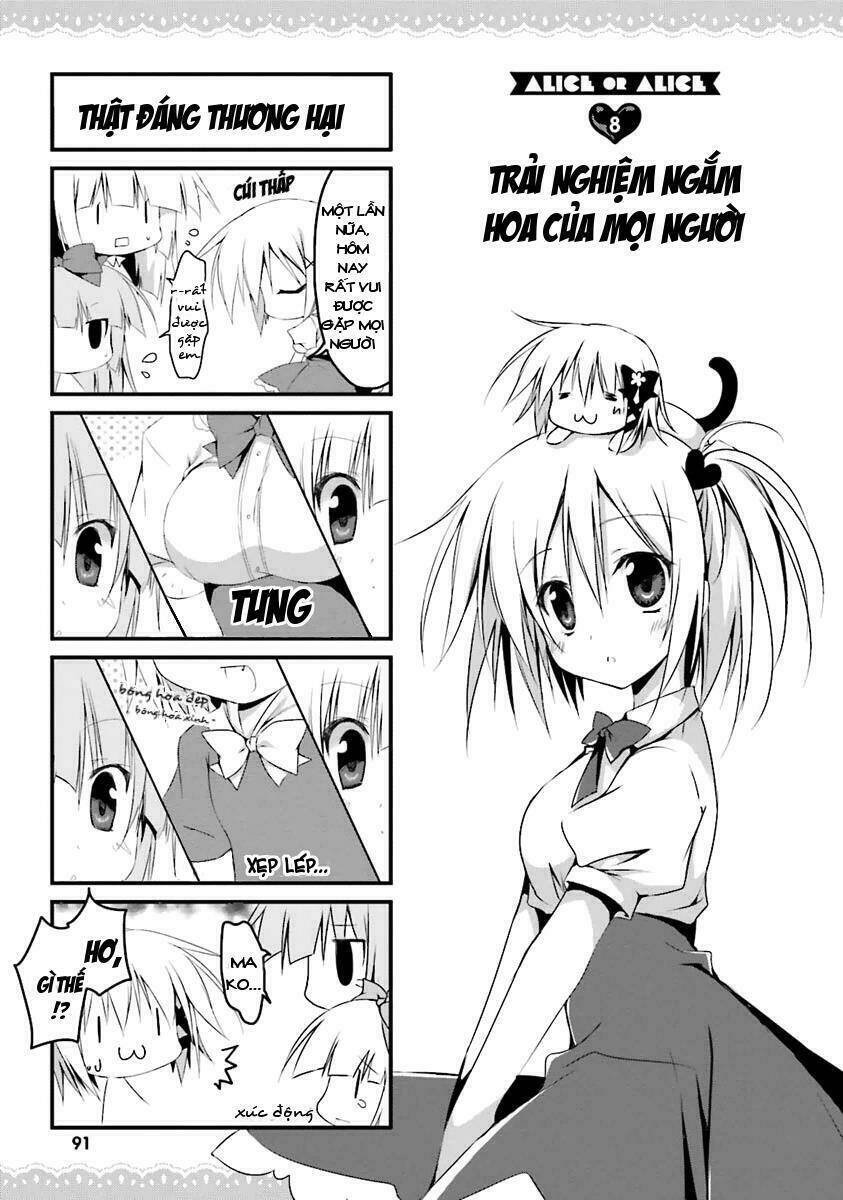 NHẬT KÝ ALICE: Chapter 8