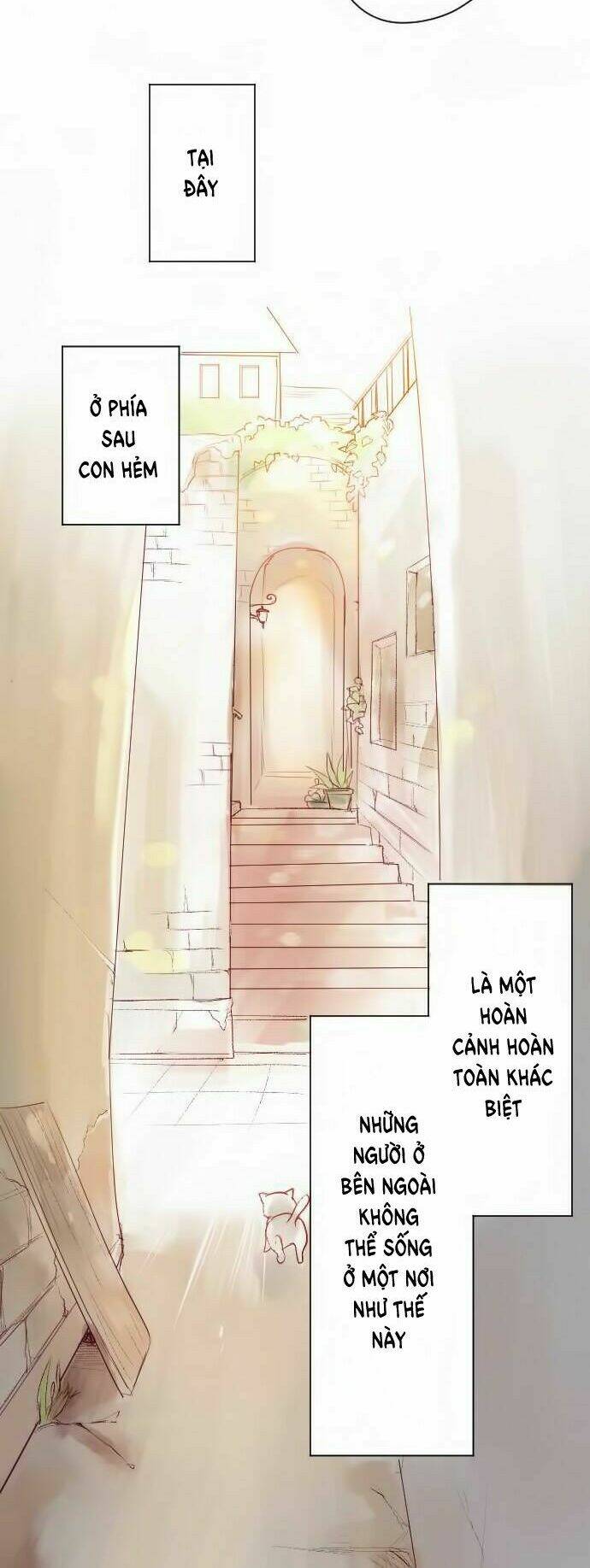 Những Cư Dân Ngõ Hẻm (Thiên Hàn): Chapter 1