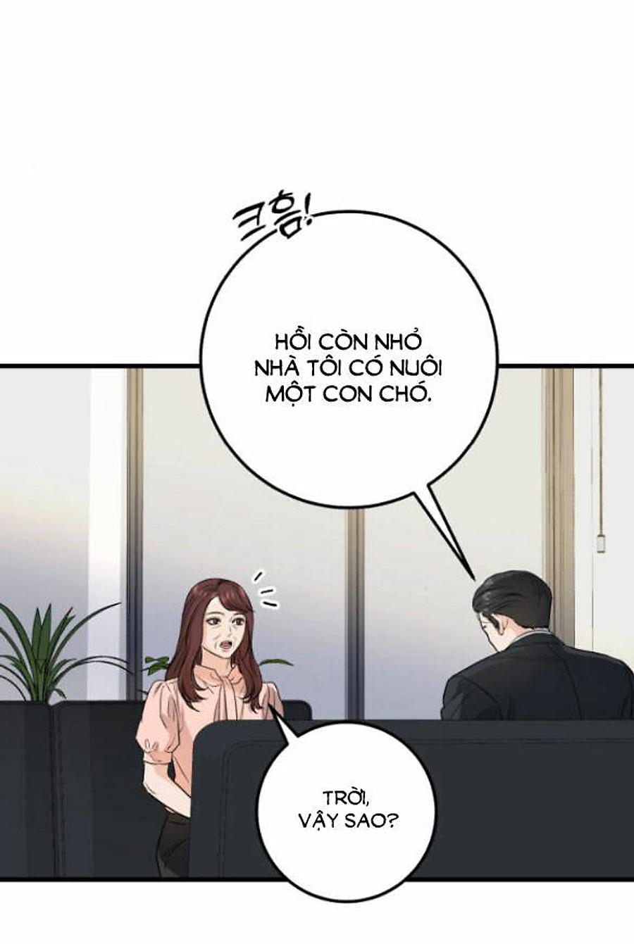 Nóng Lòng Muốn Giày Vò Em: Chapter 15