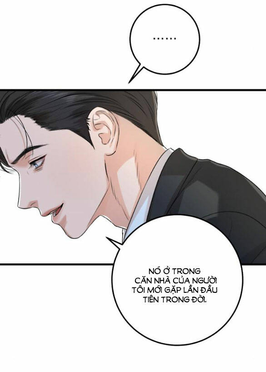Nóng Lòng Muốn Giày Vò Em: Chapter 15
