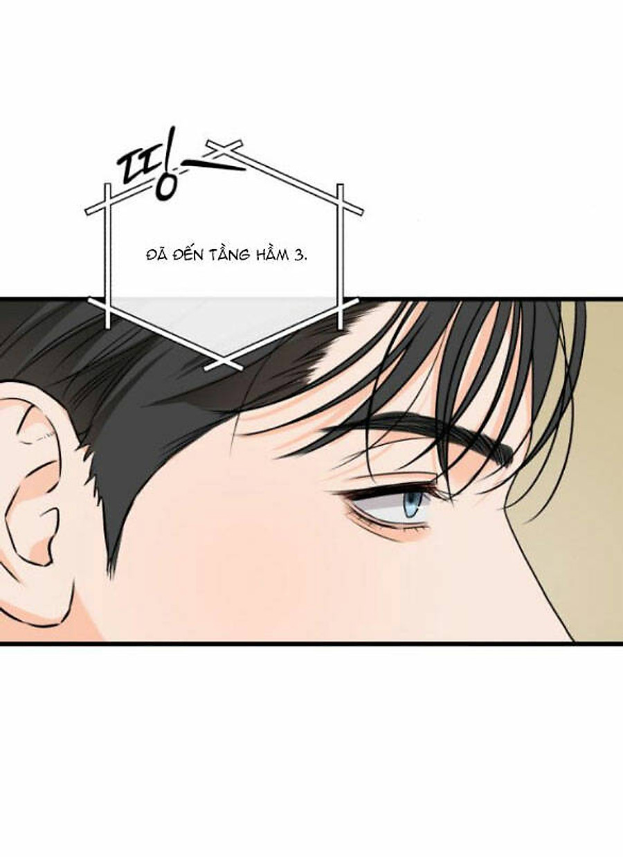 Nóng Lòng Muốn Giày Vò Em: Chapter 39