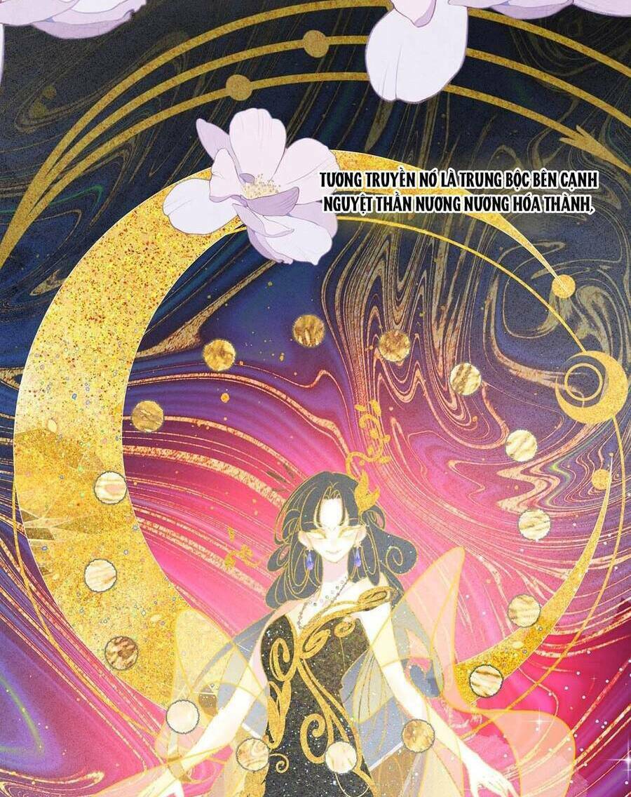 Nữ Giả Hoàng Thượng Và Màn Công Lược Gian Thần Bất Đắc Dĩ: Chapter 30