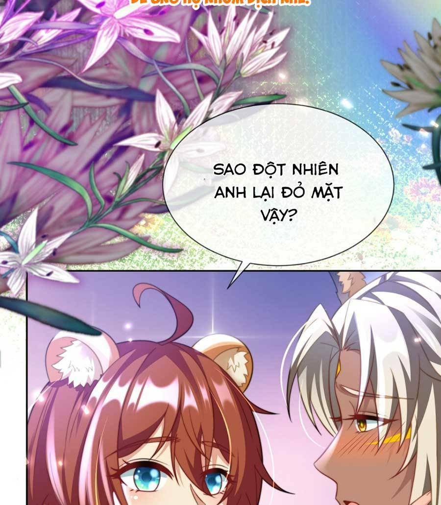 Nữ Vương Thú Thế: Nàng Chọn Yêu Hay Hận: Chapter 13