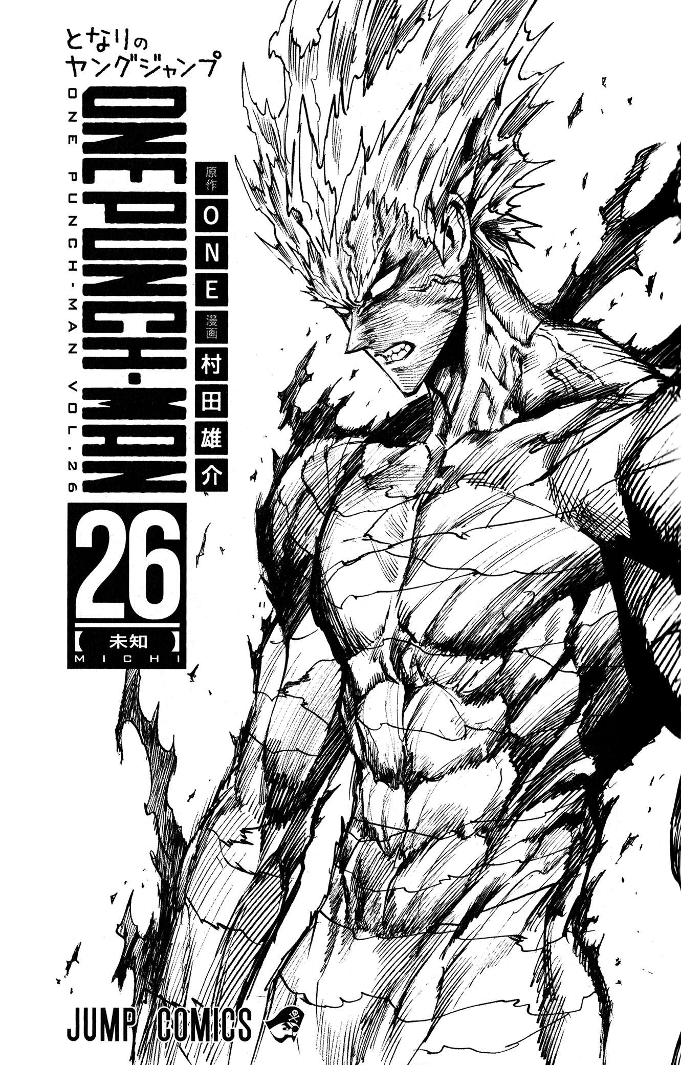 One Punch Man: Chapter 212.5