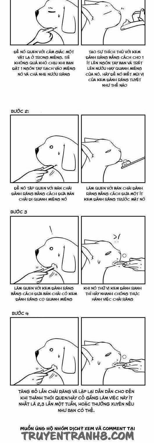 Pet Diary: Chapter 26