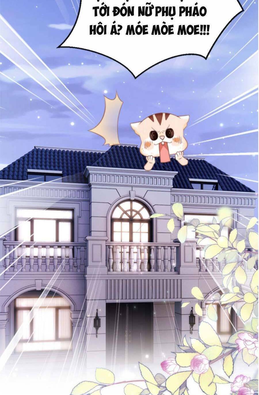 Phá Vỡ Kế Hoạch Của Tra Nam Tôi Về Bên Đại Boss: Chapter 3