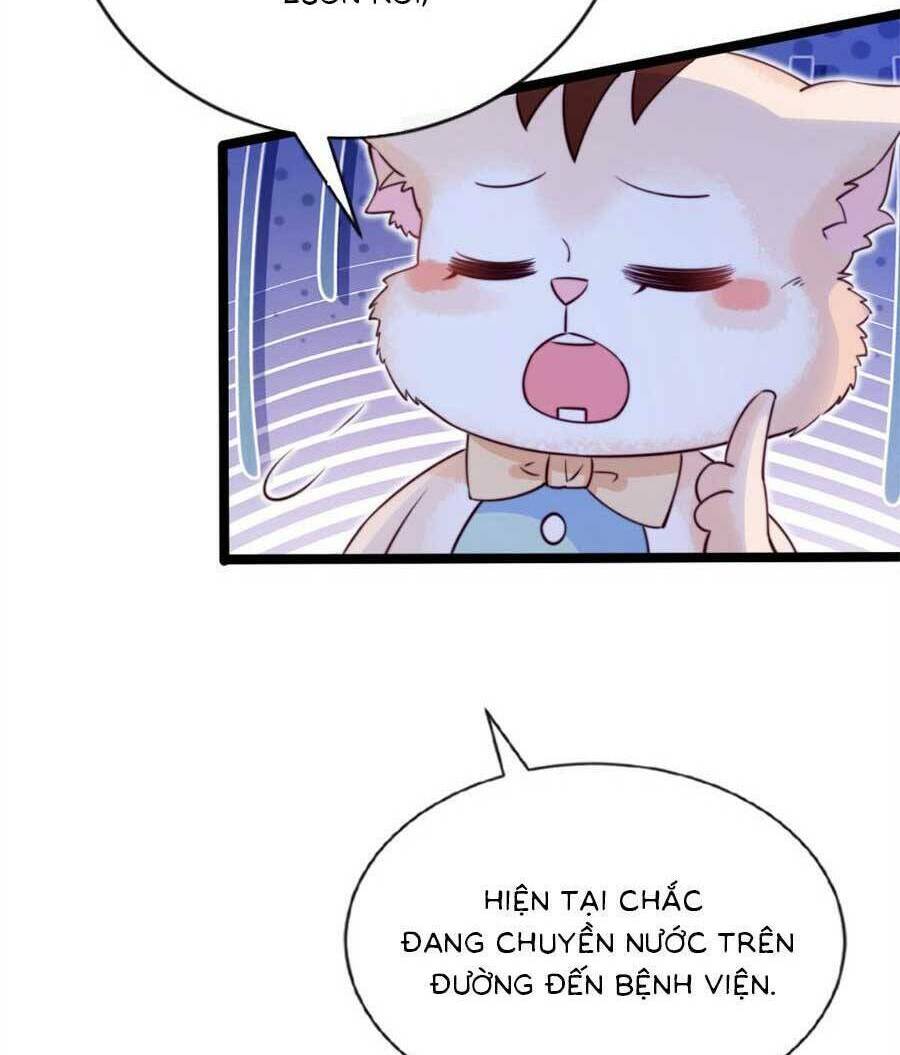 Phá Vỡ Kế Hoạch Của Tra Nam Tôi Về Bên Đại Boss: Chapter 35