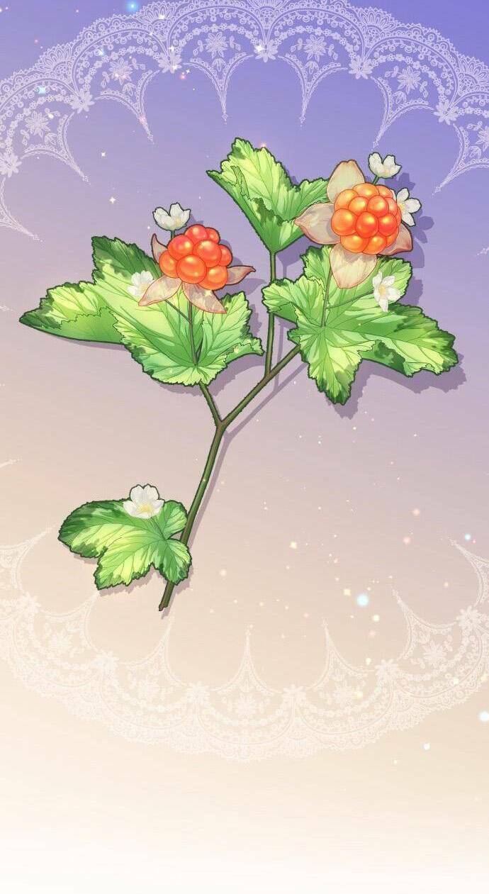 Pháp Sư Hiện Kim Của Trò Chơi Lỗi: Chapter 16