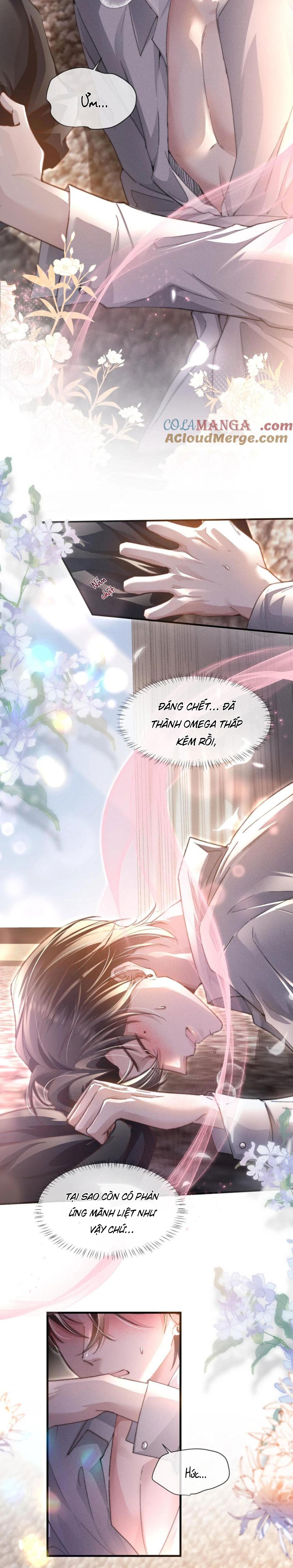 Phép Tắc Nuôi Dưỡng Chó Điên: Chapter 11