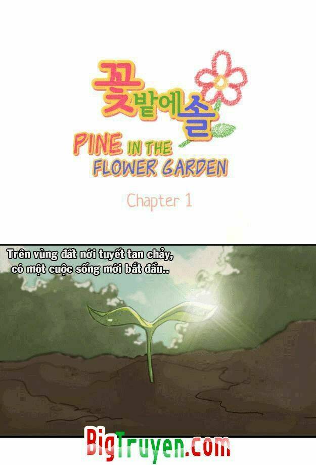 Pine In The Flower Garden: Chapter 1