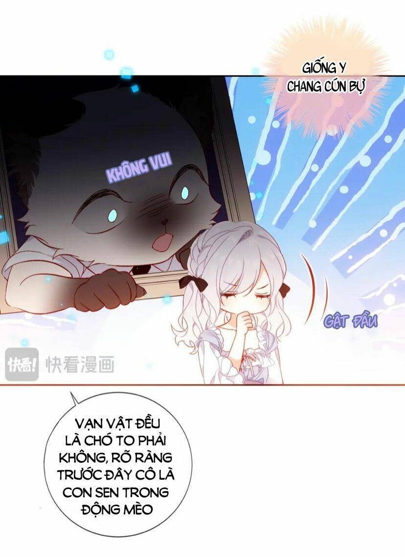 Quán Kịch Bản Trần Mộng: Chapter 43