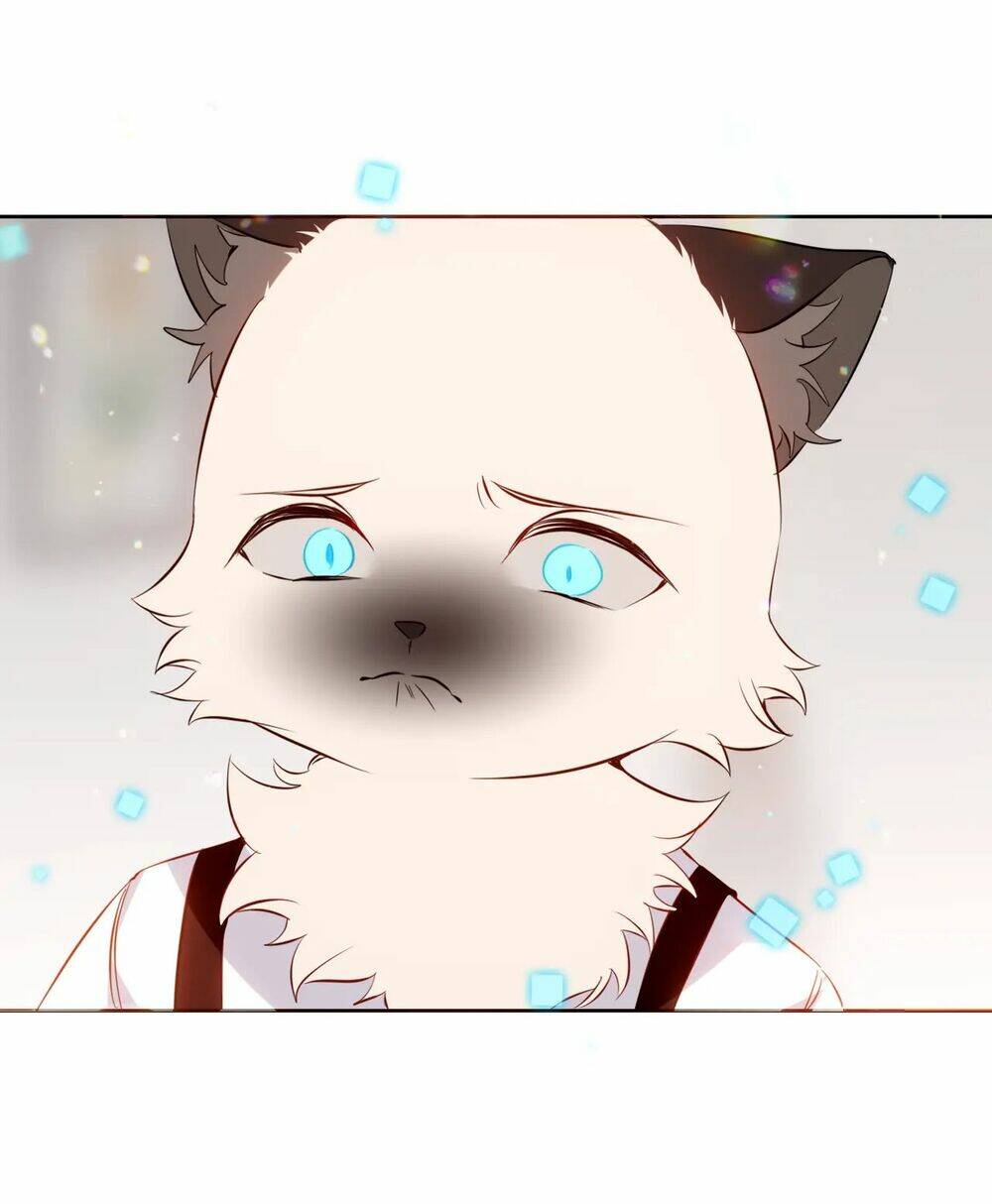 Quán Kịch Bản Trần Mộng: Chapter 53