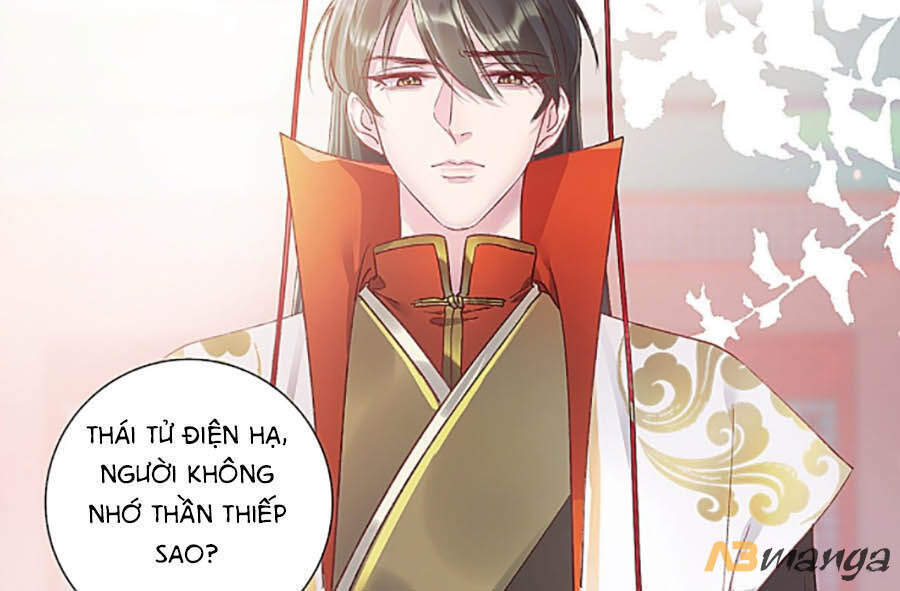 QÚY PHI MUỐN TRỞ THÀNH CON CÁ MẶN MÒI: Chapter 1