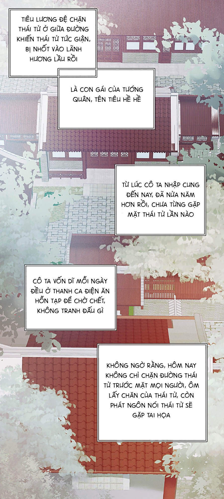 QÚY PHI MUỐN TRỞ THÀNH CON CÁ MẶN MÒI: Chapter 1