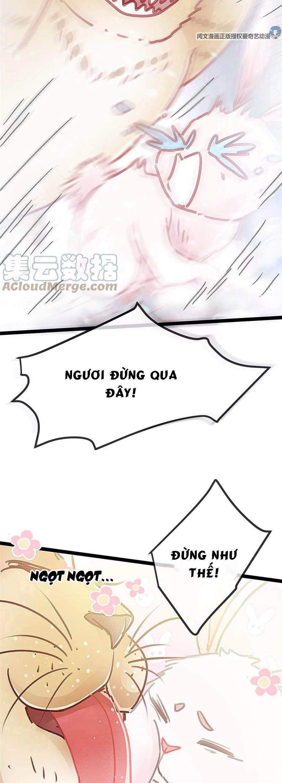 QÚY PHI MUỐN TRỞ THÀNH CON CÁ MẶN MÒI: Chapter 26