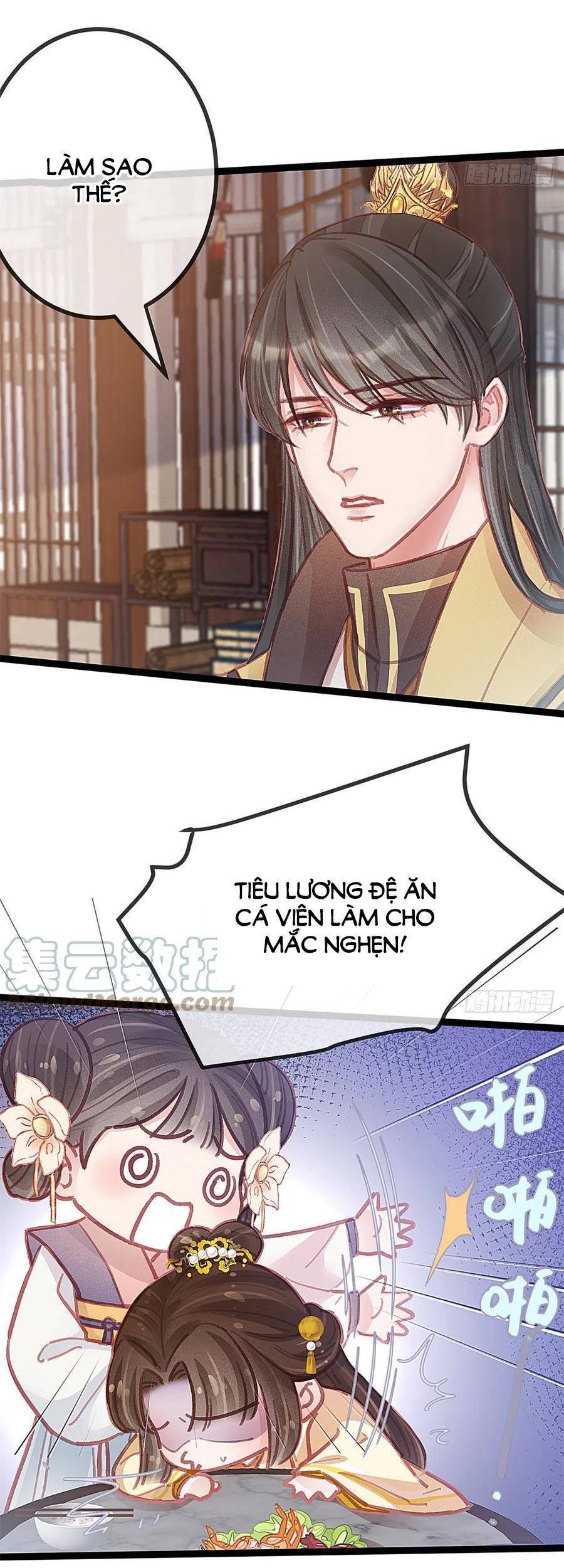 QÚY PHI MUỐN TRỞ THÀNH CON CÁ MẶN MÒI: Chapter 38