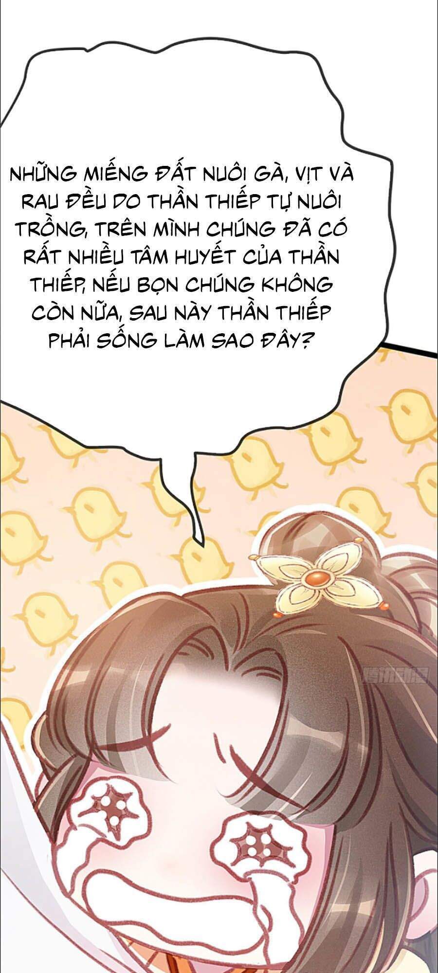 QÚY PHI MUỐN TRỞ THÀNH CON CÁ MẶN MÒI: Chapter 4