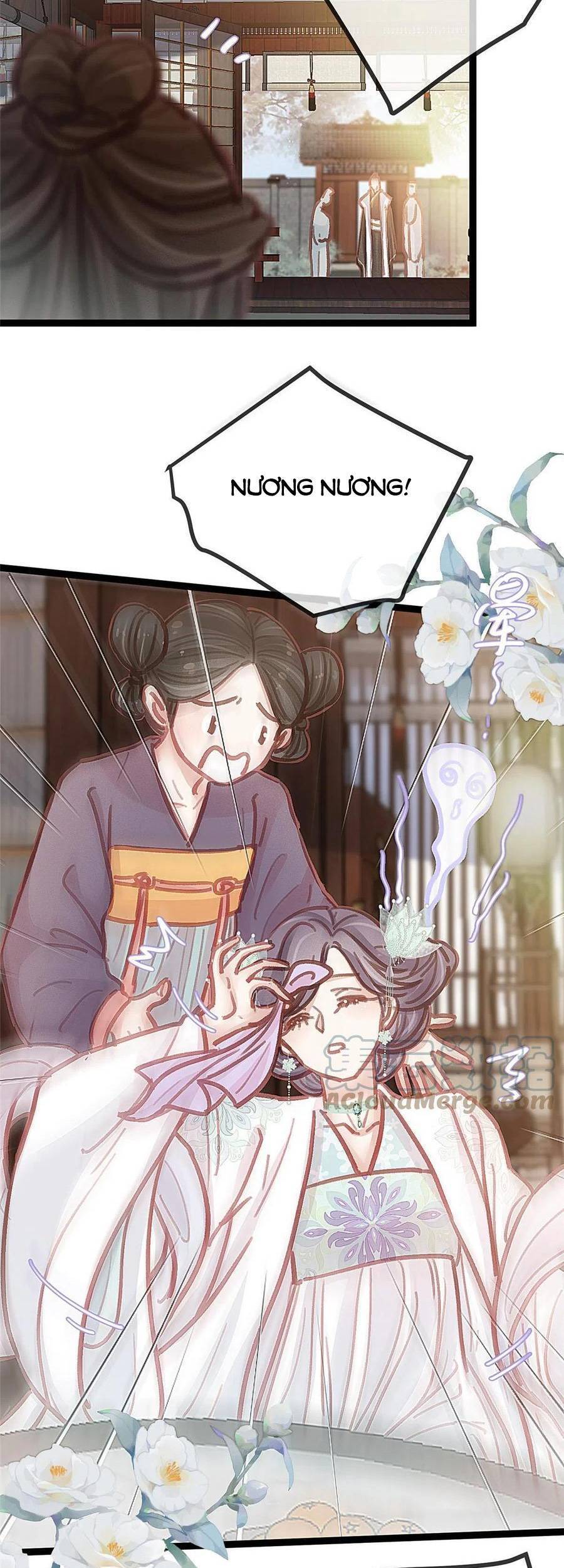 QÚY PHI MUỐN TRỞ THÀNH CON CÁ MẶN MÒI: Chapter 42