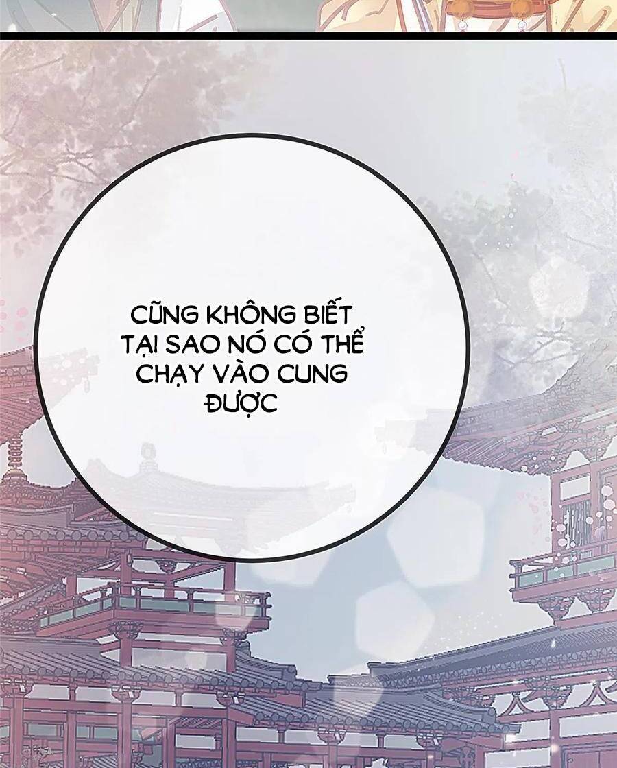 QÚY PHI MUỐN TRỞ THÀNH CON CÁ MẶN MÒI: Chapter 44