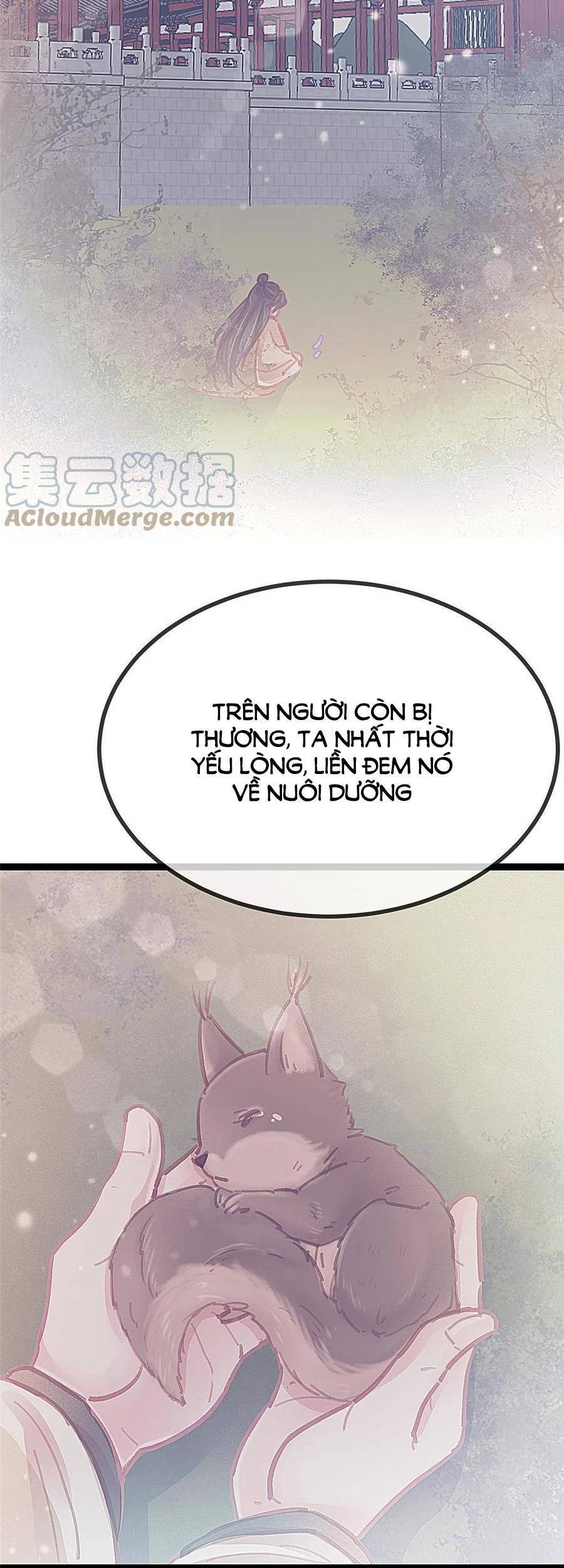 QÚY PHI MUỐN TRỞ THÀNH CON CÁ MẶN MÒI: Chapter 44
