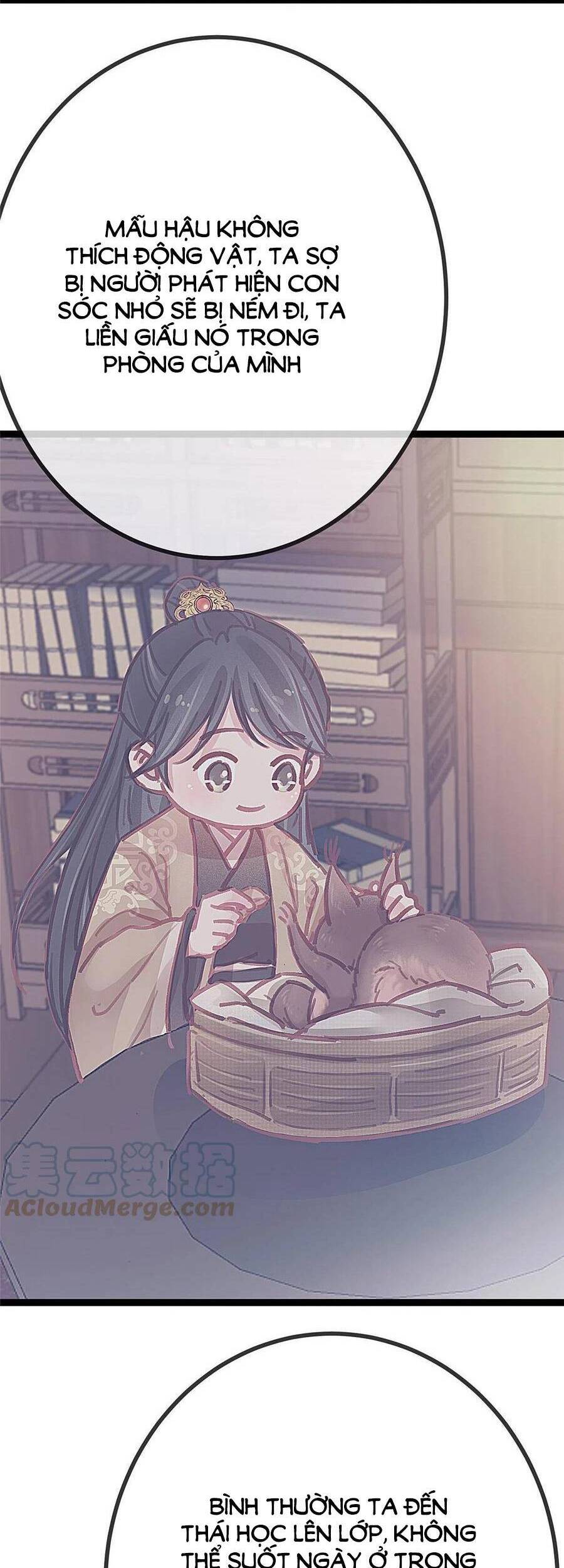 QÚY PHI MUỐN TRỞ THÀNH CON CÁ MẶN MÒI: Chapter 44