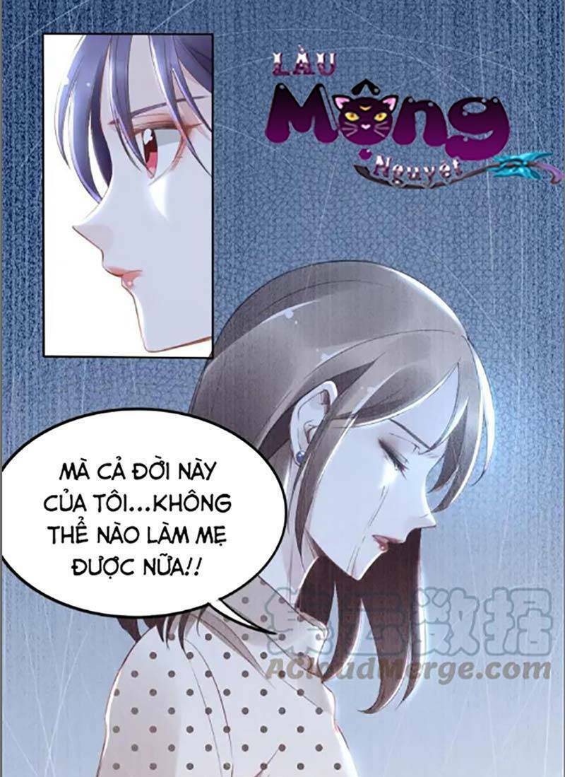 Quyền Thiểu, Nhĩ Lão Bà Yêu Bào Liễu: Chapter 25