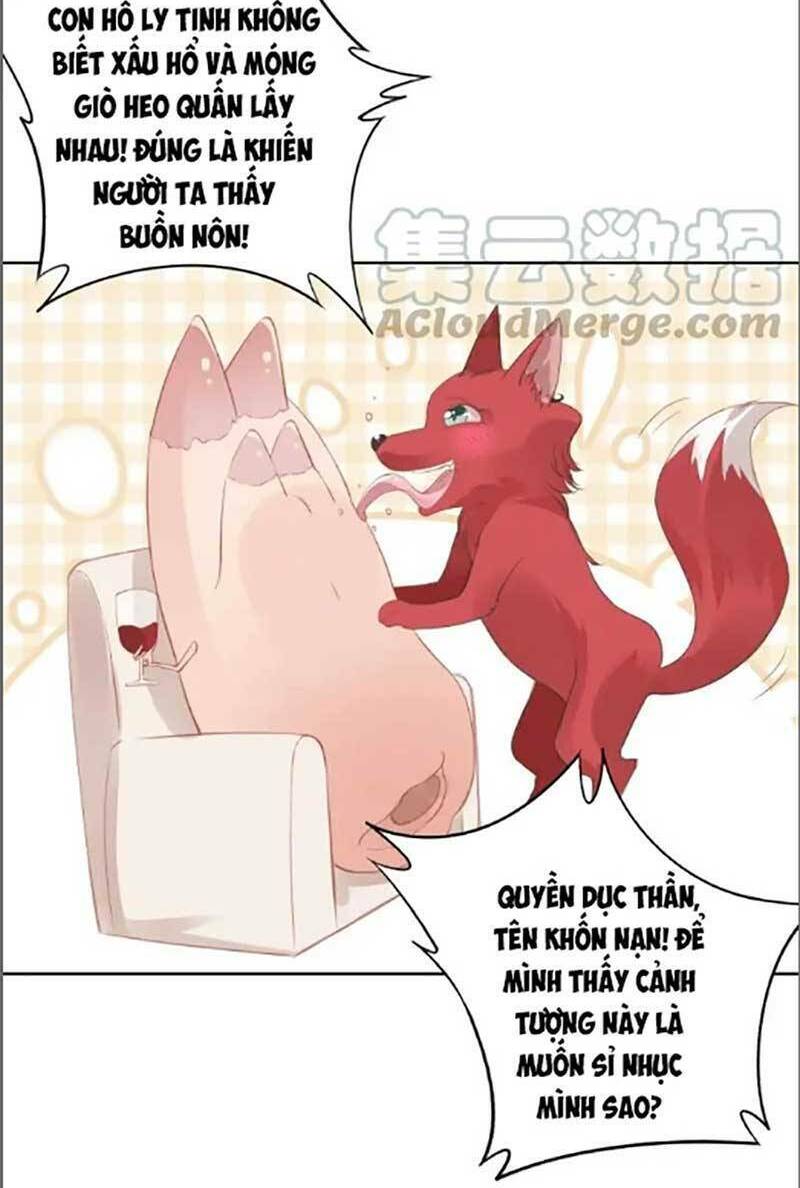 Quyền Thiểu, Nhĩ Lão Bà Yêu Bào Liễu: Chapter 26