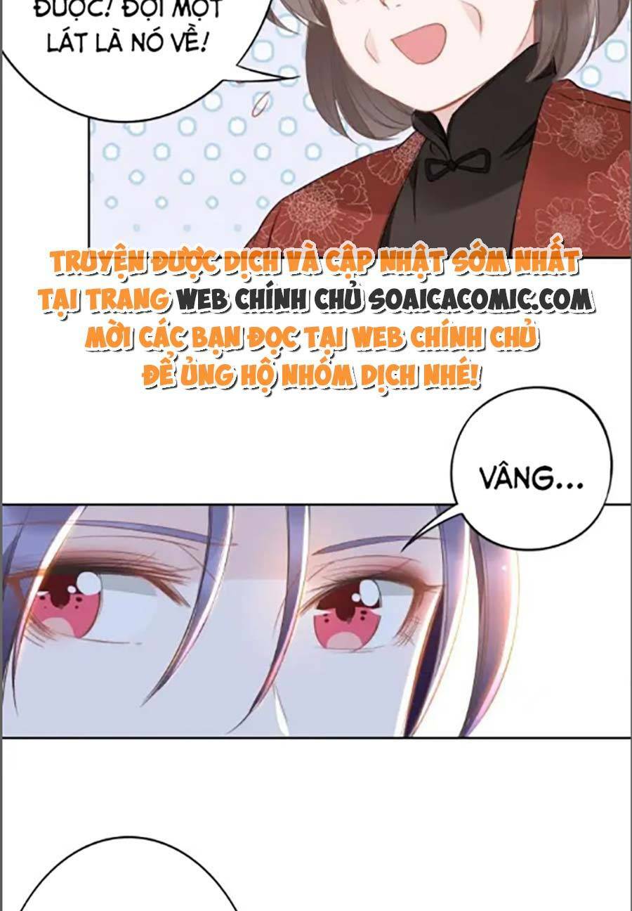 Quyền Thiểu, Nhĩ Lão Bà Yêu Bào Liễu: Chapter 34