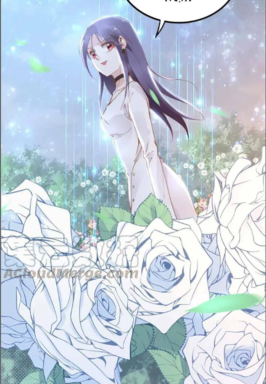 Quyền Thiểu, Nhĩ Lão Bà Yêu Bào Liễu: Chapter 34