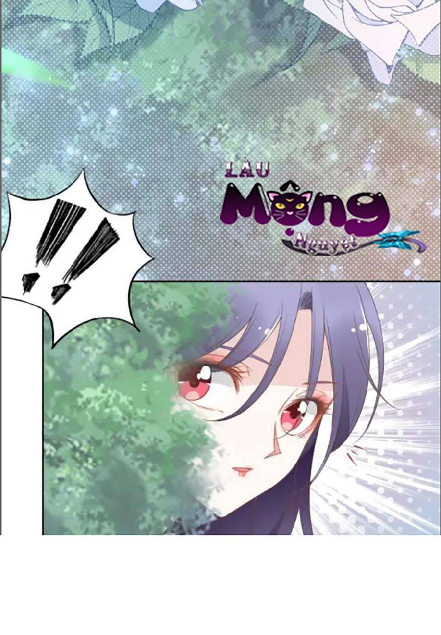 Quyền Thiểu, Nhĩ Lão Bà Yêu Bào Liễu: Chapter 34