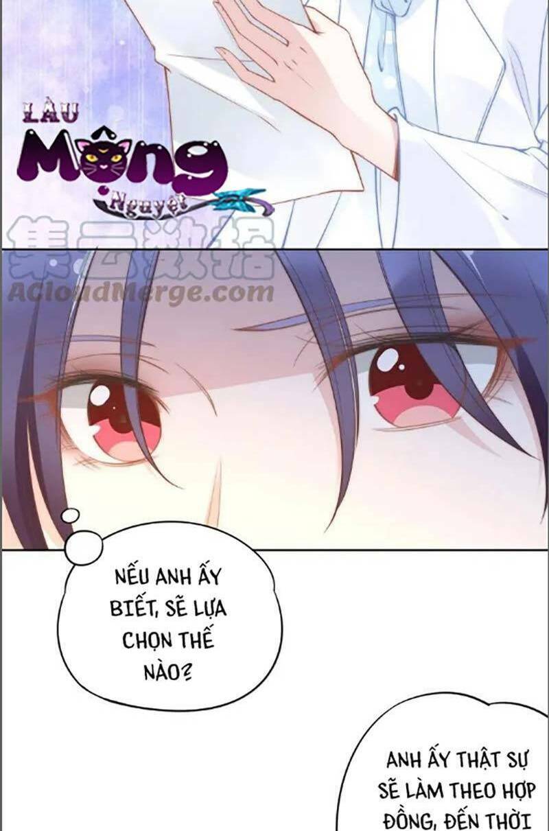 Quyền Thiểu, Nhĩ Lão Bà Yêu Bào Liễu: Chapter 37