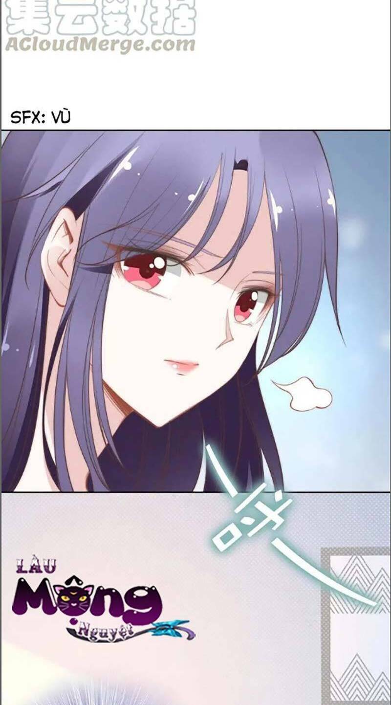 Quyền Thiểu, Nhĩ Lão Bà Yêu Bào Liễu: Chapter 37