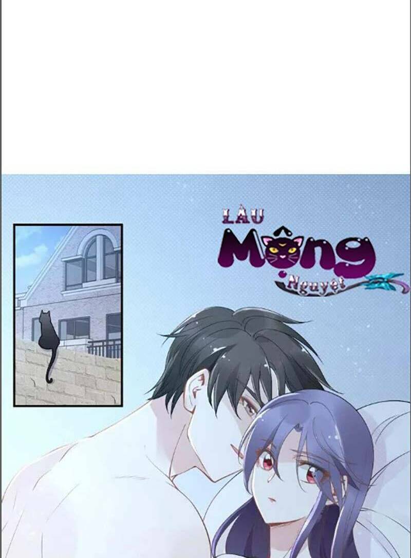 Quyền Thiểu, Nhĩ Lão Bà Yêu Bào Liễu: Chapter 38