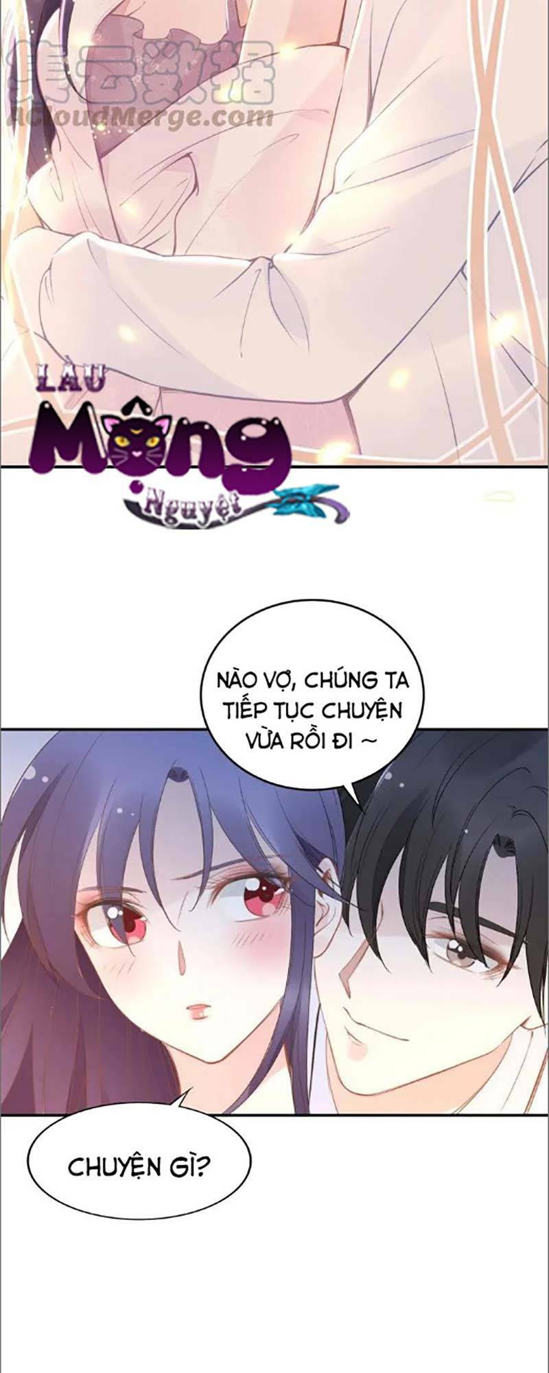 Quyền Thiểu, Nhĩ Lão Bà Yêu Bào Liễu: Chapter 41