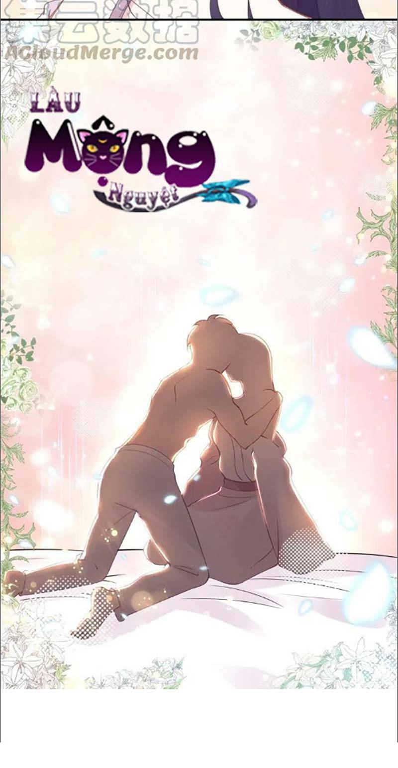 Quyền Thiểu, Nhĩ Lão Bà Yêu Bào Liễu: Chapter 41